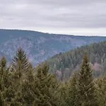 Haus Silberberg 아파트 Schonach im Schwarzwald