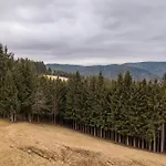 아파트 Haus Silberberg Schonach im Schwarzwald