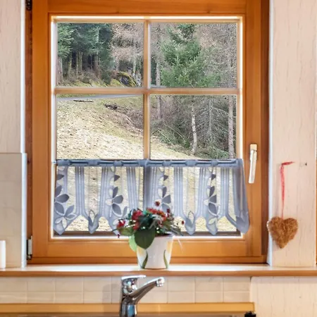 Apartamento Haus Silberberg *