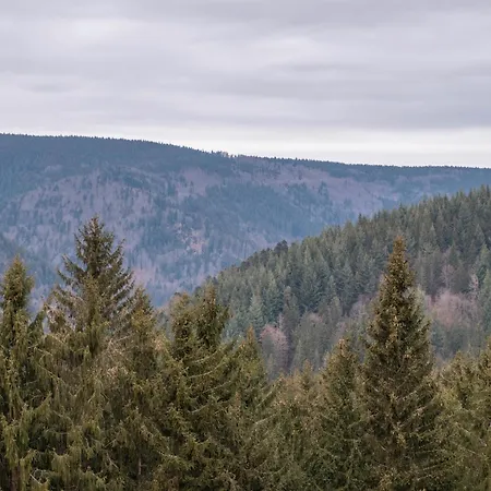 Haus Silberberg Apartamento Schonach im Schwarzwald