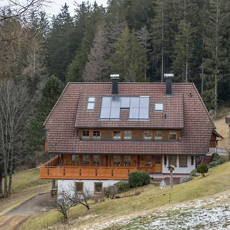 Haus Silberberg Apartment