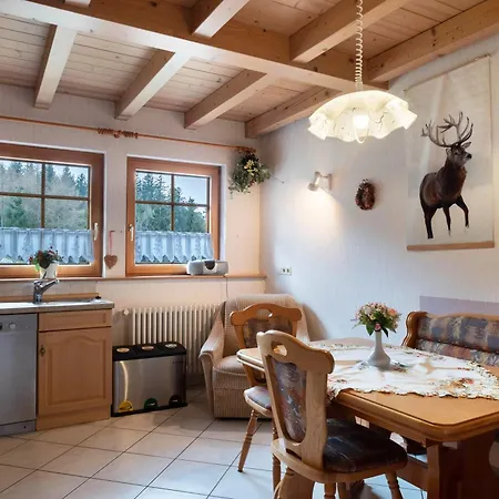 Apartment Haus Silberberg Schonach im Schwarzwald