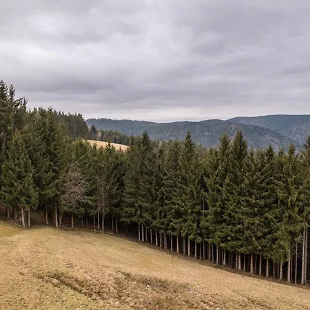 Haus Silberberg * Schonach im Schwarzwald